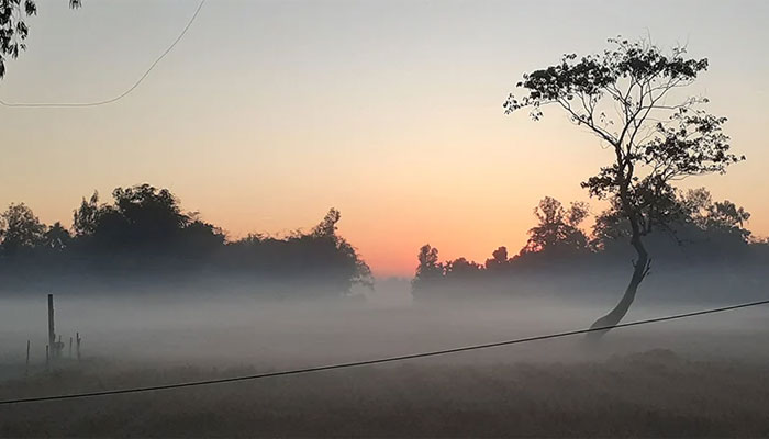 ৩ দিনের মধ্যে তাপমাত্রা কমে বাড়তে পারে শীত